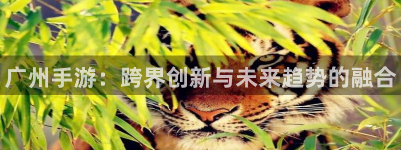 极悦娱乐开奖查询结果：广州手游：跨界创新与未来趋势的融合