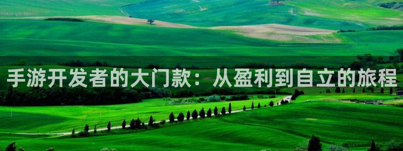 极悦娱乐最新版苹果版下载：手游开发者的大门款：从盈利到自立的
