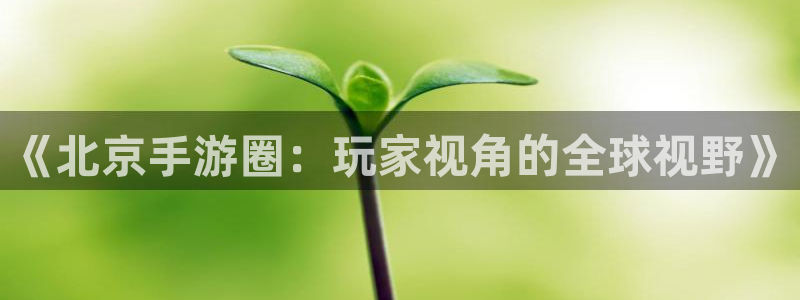极悦娱乐大发28：《北京手游圈：玩家视角的全球视野》