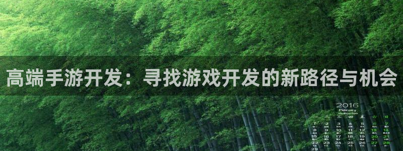 极悦娱乐网页：高端手游开发：寻找游戏开发的新路径与机会