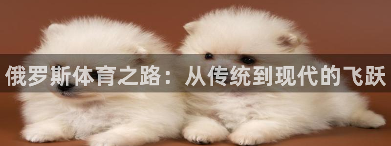 风速体育nba免费直播：俄罗斯体育之路：从传统到现代的飞跃