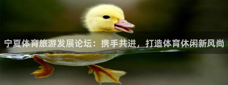 风速体育官网：宁夏体育旅游发展论坛：携手共进，打造体育休闲新风尚