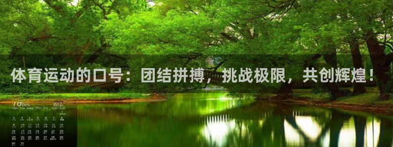 风速体育：体育运动的口号：团结拼搏，挑战极限，共创辉煌！