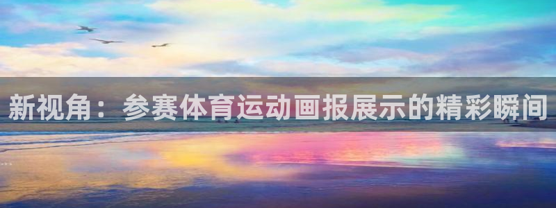 风速体育直播app：新视角：参赛体育运动画报展示的精彩瞬间