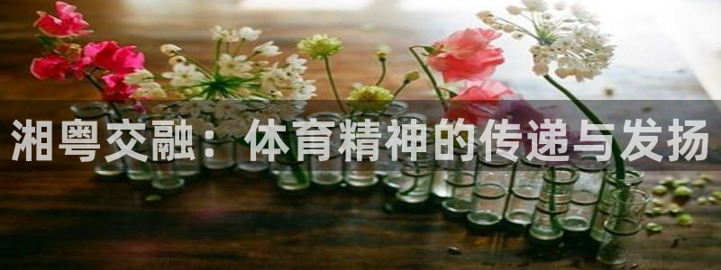 风速体育：湘粤交融：体育精神的传递与发扬