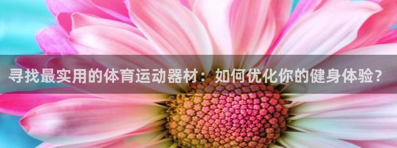 风速体育app官方下载：寻找最实用的体育运动器材：如何优化你的健身体验？