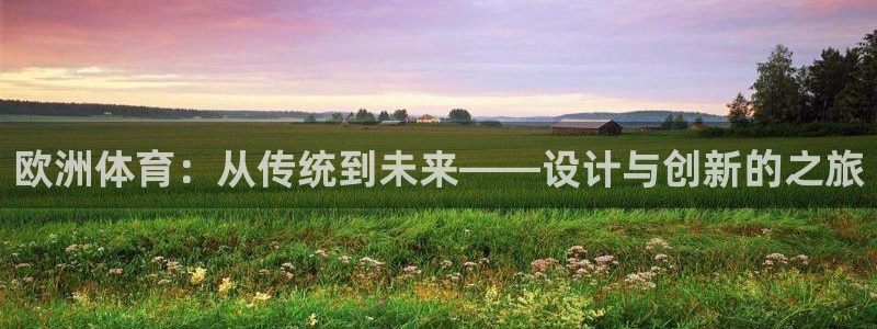 风速体育app下载官网最新版：欧洲体育：从传统到未来——设计与创新的之旅