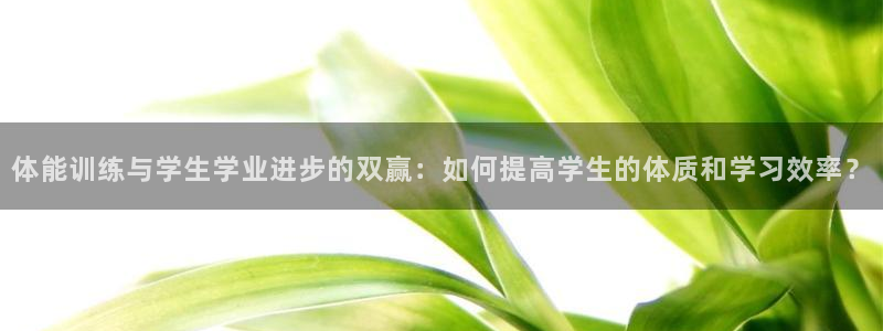风速体育nba直播：体能训练与学生学业进步的双赢：如何提高学生的体质和学习效率？