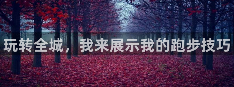 风速体育app官方下载：玩转全城，我来展示我的跑步技巧