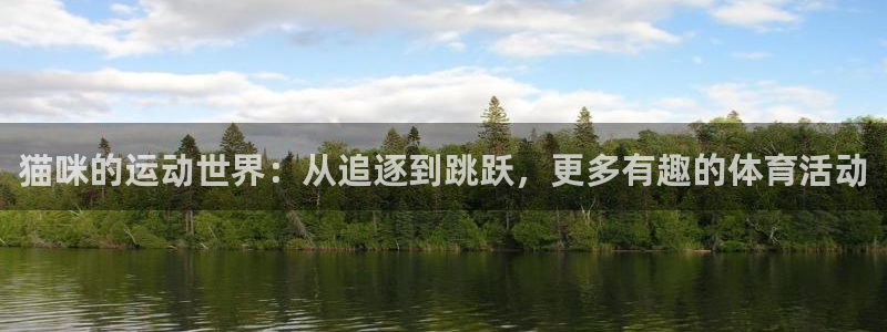 风速体育app下载官网最新版：猫咪的运动世界：从追逐到跳跃，更多有趣的体育活动