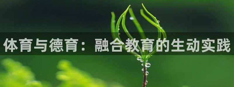 风速体育直播app：体育与德育：融合教育的生动实践