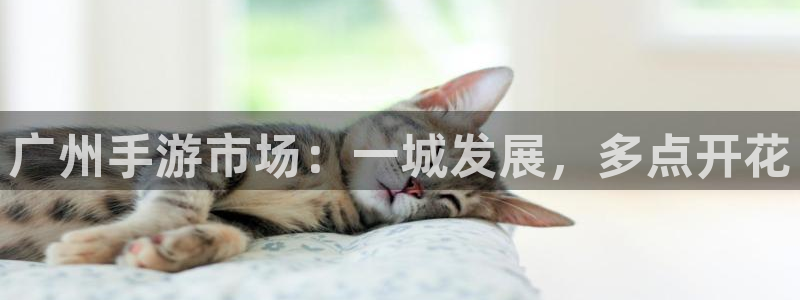 极悦娱乐开奖历史：广州手游市场：一城发展，多点开花