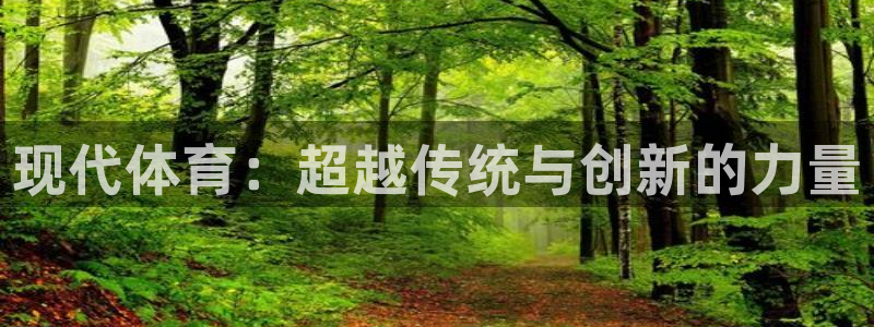 风速体育app官方下载：现代体育：超越传统与创新的力量